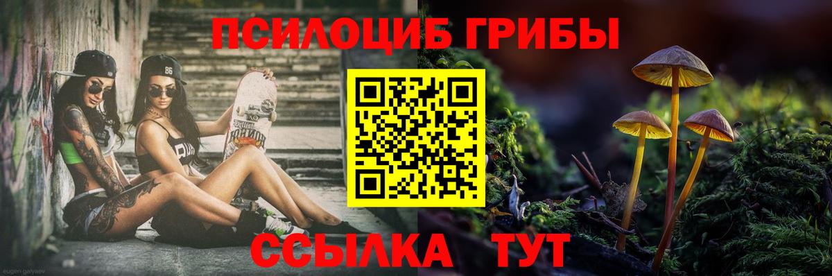 Джанкой  Галлюциногенные грибы Psilocybe  Вход с VPN 